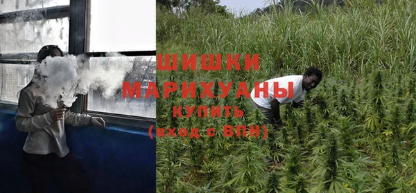 амф Анжеро-Судженск