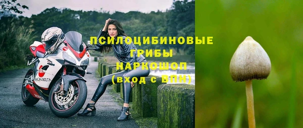 ГАЛЛЮЦИНОГЕННЫЕ ГРИБЫ Гусиноозёрск