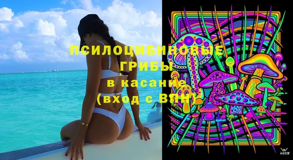 амф Анжеро-Судженск