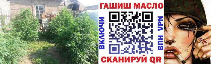 ТГК гашишное масло  мега ссылки  Гудермес 